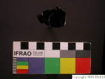 L_V23d4096 A16q776 U904 dM f282.jpg L_V23d4096 A16q776 U904 dM f282